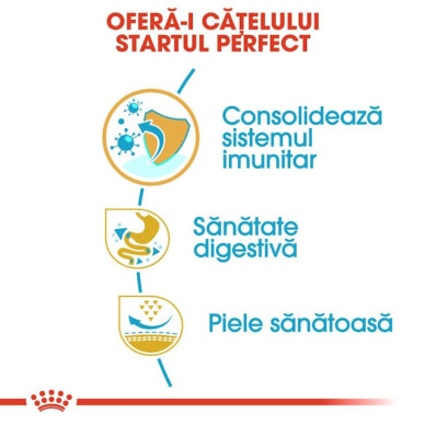 Royal Canin French Bulldog Puppy – Hrană Uscată pentru Pui de Câine din Rasa Bulldog Francez – 3 kg